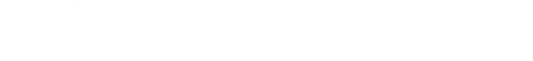 The Palladium Digital logo